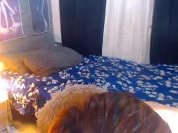 Chaturbate Nude Webcam of bitch_destroyer