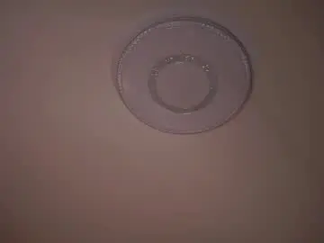 Chaturbate Live Porn of gwennielove