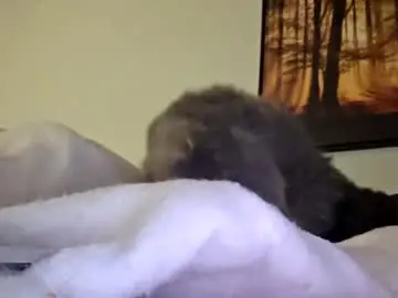 Chaturbate Live Porn of clarnbear