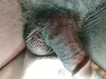 Chaturbate Adult Webcam of naturandy