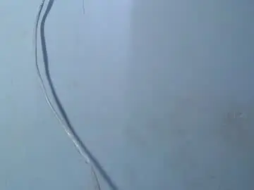 Chaturbate Free Porn Cam of eljeorge_hott