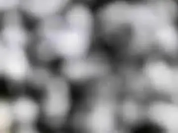 Chaturbate Best Webcam of hotshavedoiledcocksocal