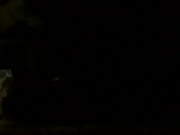 Chaturbate Sex Cam of aloooopyscot
