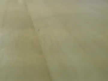 Chaturbate Adult Webcam of bobbuild