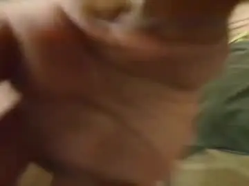 Chaturbate Free Live Porn of lobo_cockk