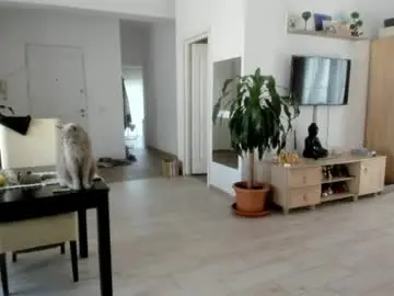 Chaturbate Best Webcam of woolfiie
