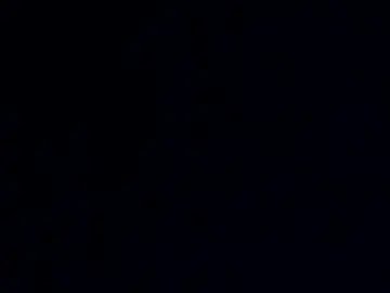 Chaturbate Live Porn of phil55q
