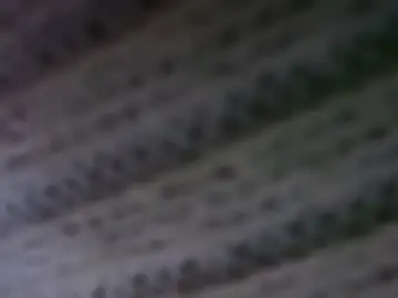 Chaturbate Sex Chat of prob_acc