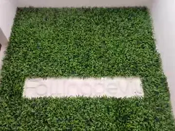 Chaturbate Nude Webcam of hotfallingdevil