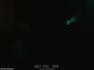 Chaturbate Sex Chat of intellitease