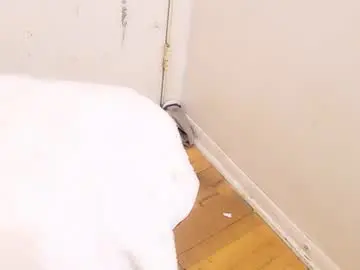 Chaturbate Free Porn Cam of jamwarnerone