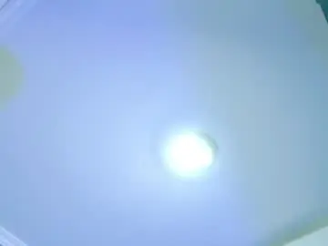 Chaturbate Private Sex Chat of ale_love_