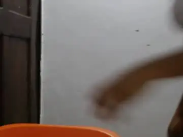 Chaturbate Sex Chat of hornyxbum