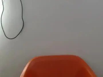 Chaturbate Adult Webcam of hornyxbum
