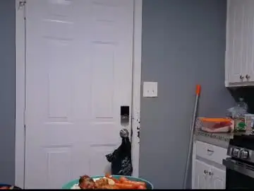 Chaturbate Best Webcam of kingpleasure24