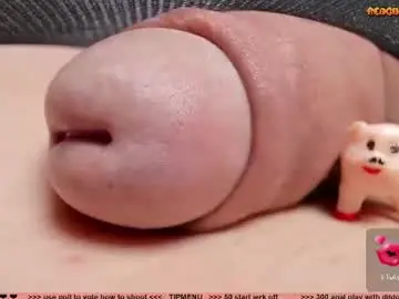 Chaturbate Nude Webcam of kpetra