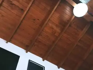 Chaturbate Free Live Porn of silvabranko