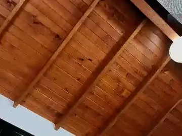 Chaturbate Nude Webcam of silvabranko