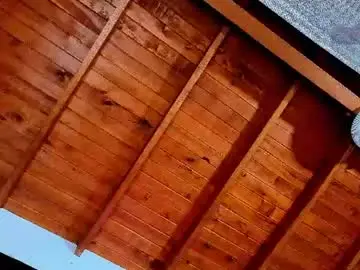 Chaturbate Live Sex of silvabranko