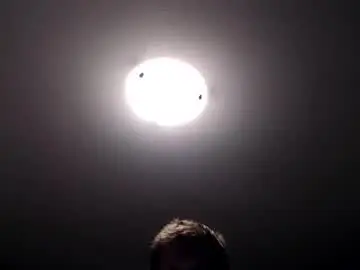 Chaturbate Adult Webcam of lancehardin