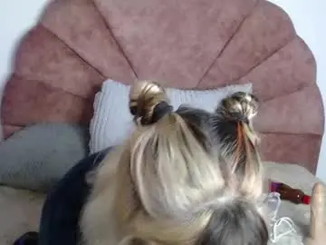 Chaturbate Live Porn of lickpink1_