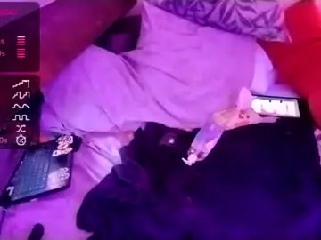 Chaturbate Live Sex Cam of geilventje1