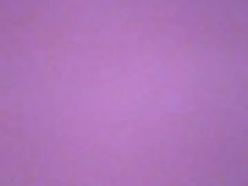 Chaturbate Free Porn Cam of jennyfromtheblock69