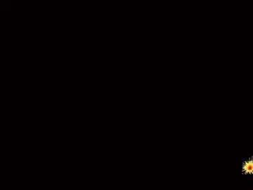 Chaturbate Sex Cam of real__cameron