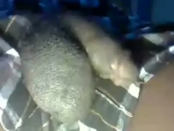 Chaturbate Sex Cam of dadyschlong