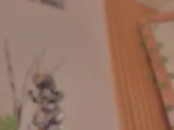 Chaturbate Best live sex cam show of pawggirl18