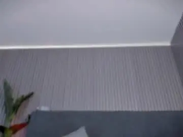 Chaturbate Adult Webcam of emelie_89