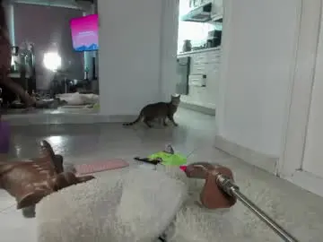 Chaturbate Free Porn Cam of halliee