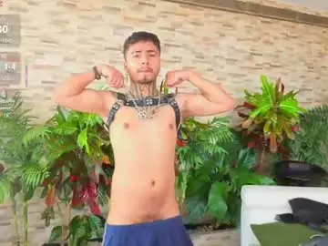 Chaturbate Live Sex of bastian66_