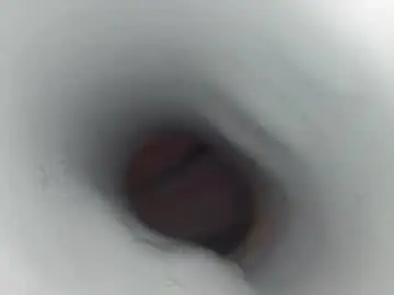 Chaturbate Live Sex Cam of jeffrodgerschaturbat