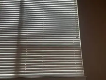 Chaturbate Free Live Porn of nikkib333