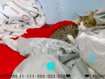 Chaturbate Live Porn of juli_69