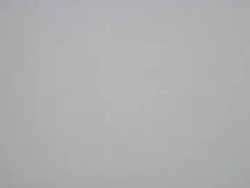 Chaturbate Adult Webcams of kawaiikuma2839