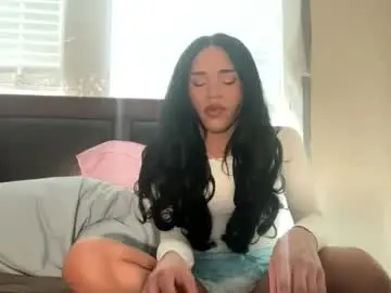 Chaturbate Live Sex of dynasty313