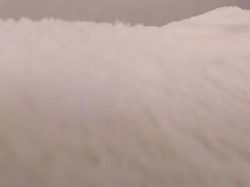 Chaturbate Live Sex Cam of magic_couple13