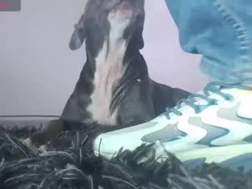 Chaturbate Sex Cam of tommy_c0rtez