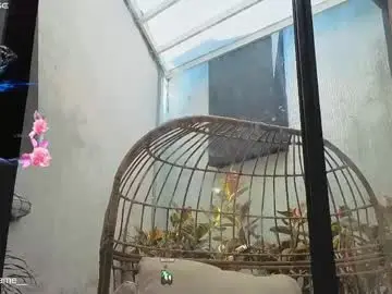 Chaturbate Free Porn Cam of venus_flame