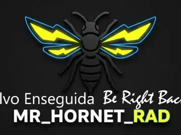 Chaturbate Adult Video Chat of mr_hornet_rad