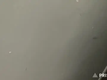 Chaturbate Sex Chat of sofia_rouse2