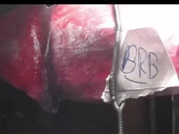 Chaturbate Free Live Porn of xloadzzz