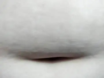 Chaturbate Best live sex cam show of alondra_zaens
