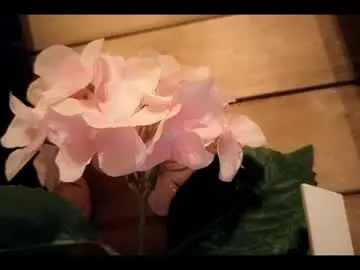 Chaturbate Best live sex cam show of vickyvalencia2