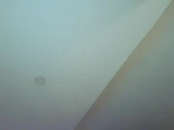 Chaturbate Sex Cam of clark_strong