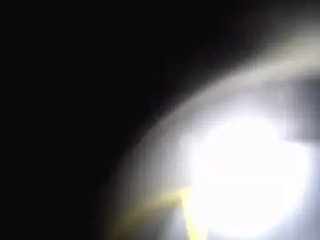 Chaturbate Adult Webcams of giftedbiker11