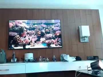 Chaturbate Live Sex of pairexe