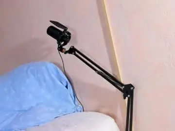 Chaturbate Live Porn of bea_quinn